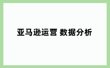 亚马逊运营 数据分析